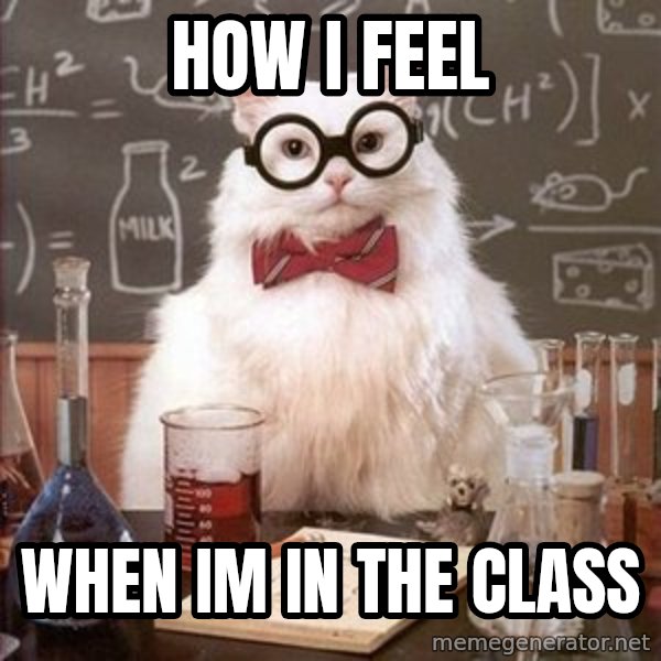 Chemistry Cat meme: how i feel / when im in the class