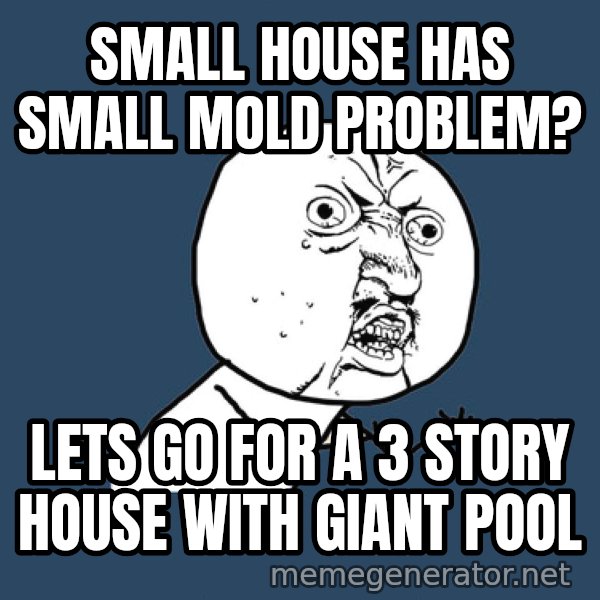 Ty Pennington meme: small house has small mold problem? / lets go for a 3 story house with giant pool