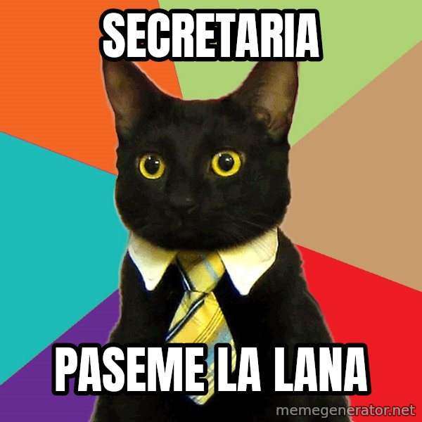 Business Cat meme: secretaria / pasemE la lana