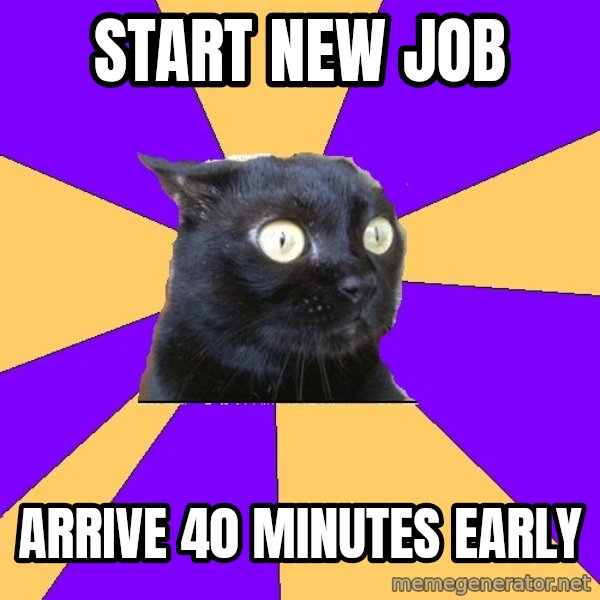 Anxiety Cat meme: Start new job / arrive 40 minutes early