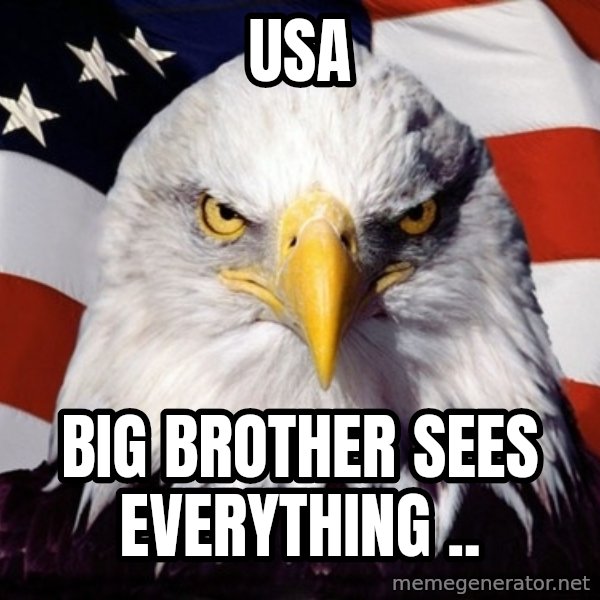 American Pride Eagle meme: USA / big brother sees everything ..
