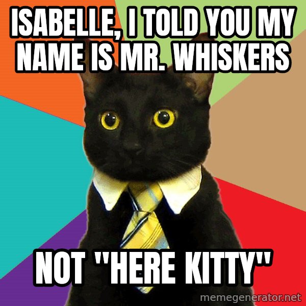 Business Cat meme: Isabelle, I told you my name is mr. whiskers / not "Here Kitty"
