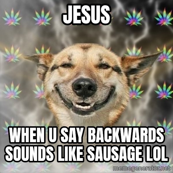 Stoner Dog meme: Jesus / when u say backwards sounds like sausage lol