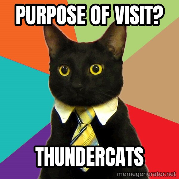 Business Cat meme: Purpose of visit? / Thundercats