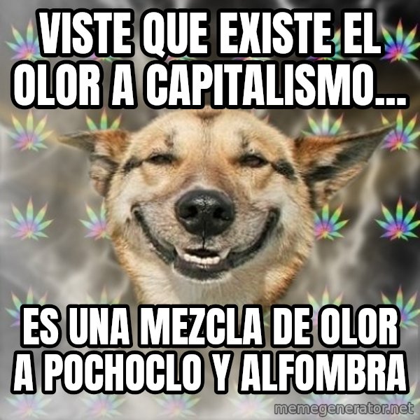 Stoner Dog meme: Viste que existe el olor a capitalismo... / Es una mezcla de olor a pochoclo y alfombra