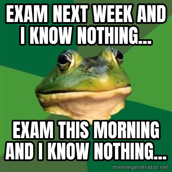 Foul Bachelor Frog meme: exam next week and I know nothing... / exam this morning and i know nothing...