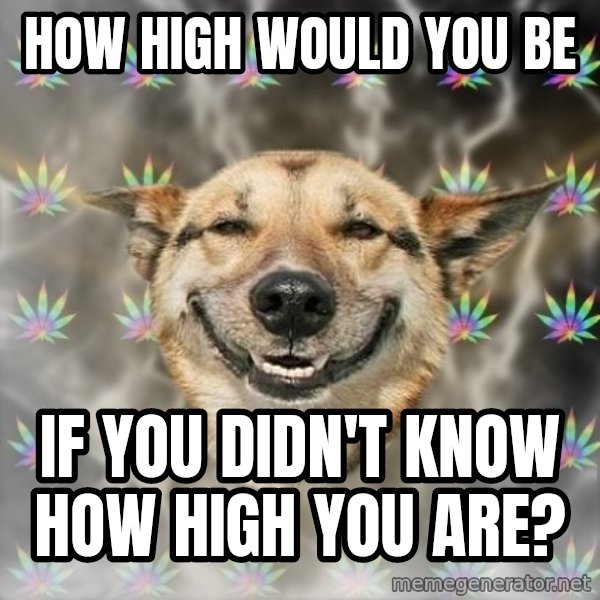 Stoner Dog meme: HOW HIGH WOULD YOU BE / IF YOU DIDN'T KNOW HOW HIGH YOU ARE?