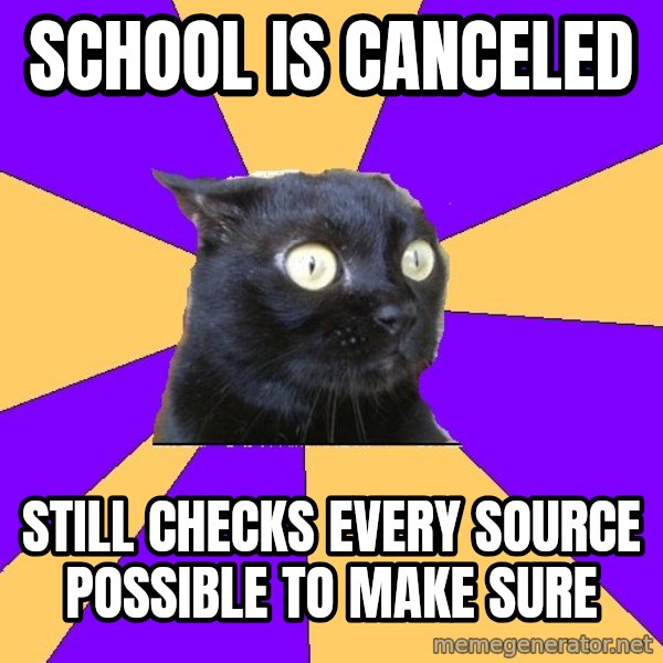 Anxiety Cat meme: School is canceled / still checks every source possible to make sure