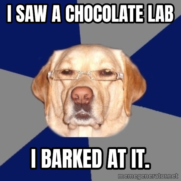 Racist Dog meme: I saw a chocolate lab / I barked at it.