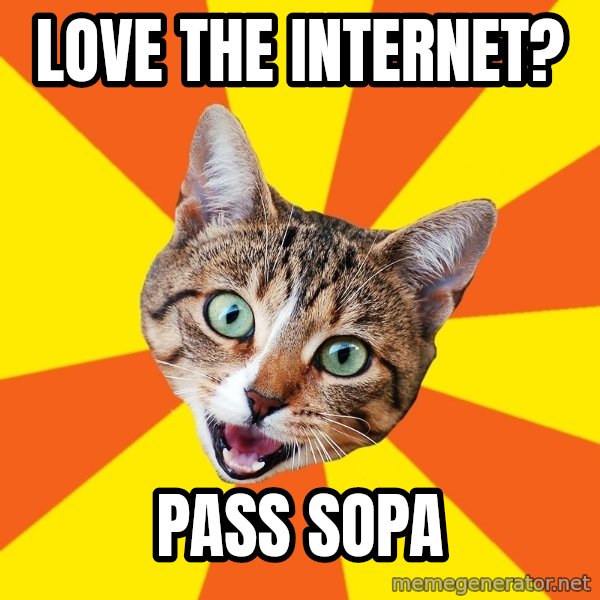 Bad Advice Cat meme: love the internet? / pass sopa