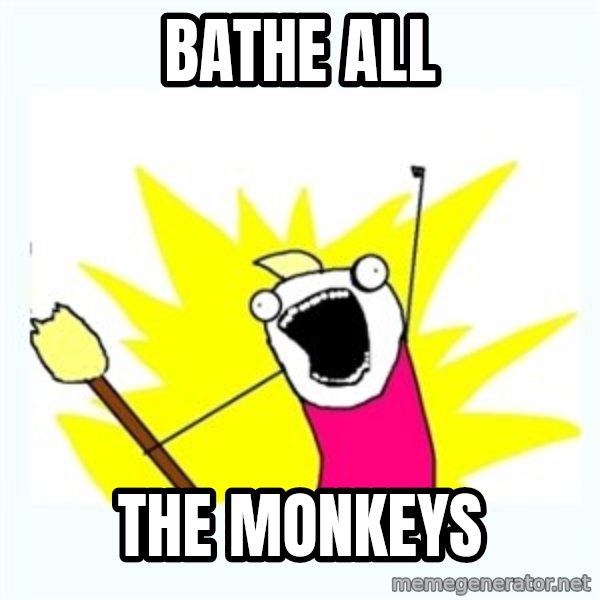 All the things meme: bathe all / the monkeys