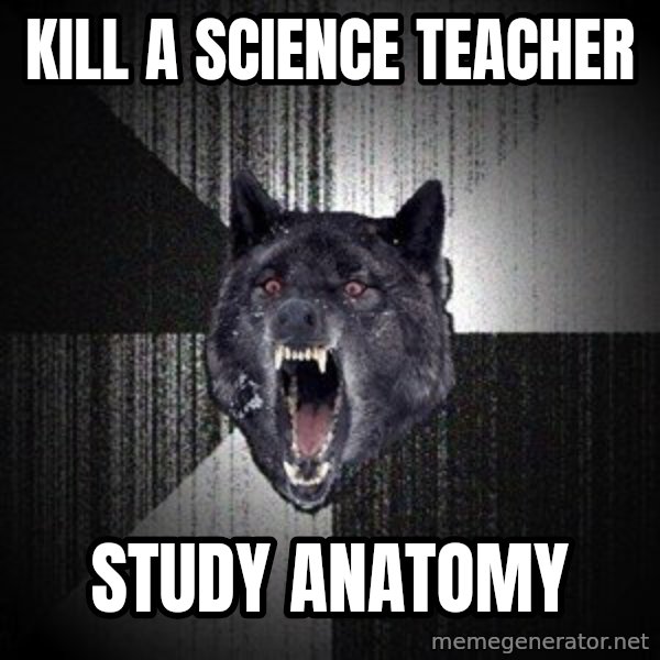 Insanity Wolf meme: kill a science teacher / study anatomy