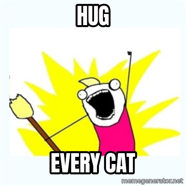 All the things meme: Hug / EVERY CAT