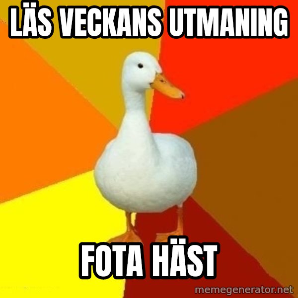Technologically Impaired Duck meme: läs veckans utmaning / fota häst