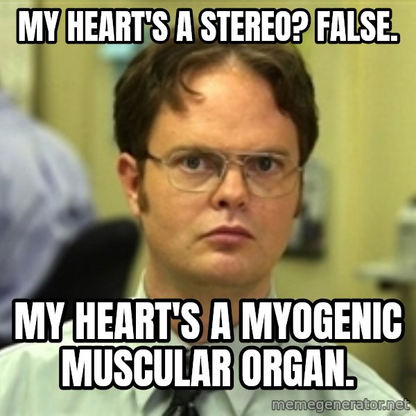 Dwight Schrute meme: My heart's a stereo? False. / My heart's a myogenic muscular organ.