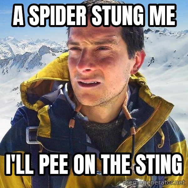 Bear Grylls meme: A Spider stung me / I'll pee on the sting