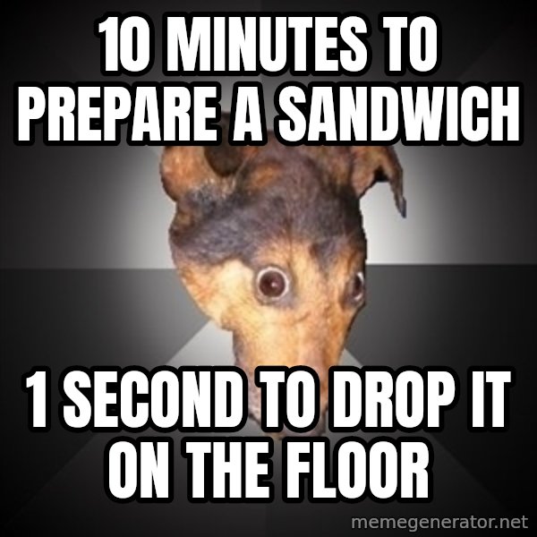Depression Dog meme: 10 minutes to prepare a sandwich / 1 SECOND TO DROP IT ON THE FLOOR