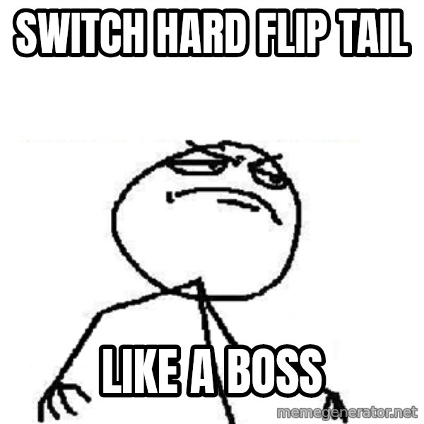 Fuck Yeah meme: Switch hard flip tail / like a boss