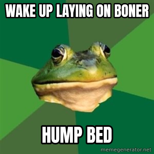 Foul Bachelor Frog meme: wake up laying on boner / hump bed