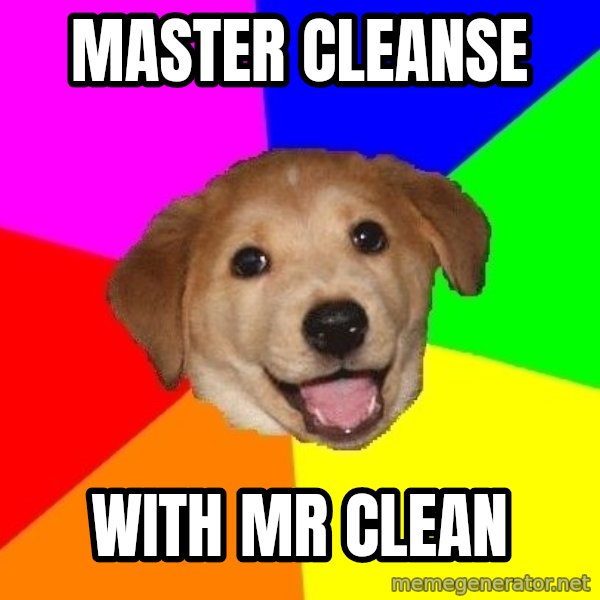 Advice Dog meme: master cleanse / with mr clean