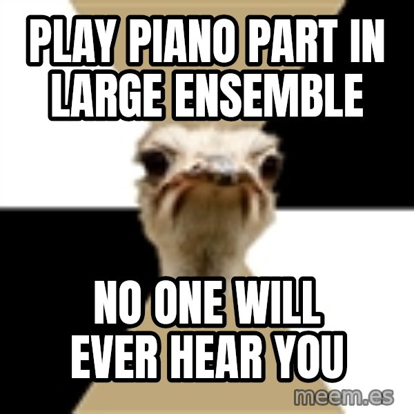 Music Major Ostrich meme: play piano part in large ensemble / no one will ever hear you