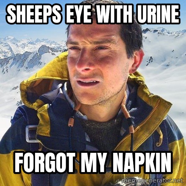 Bear Grylls meme: sheeps eye with urine / forgot my napkin