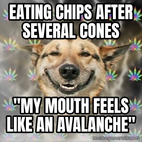 Stoner Dog meme: Eating chips after several cones / "My mouth feels like an avalanche"