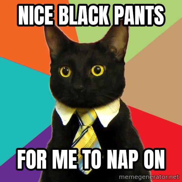 Business Cat meme: NICE BLAcK PANTS / FOR ME TO NAP ON
