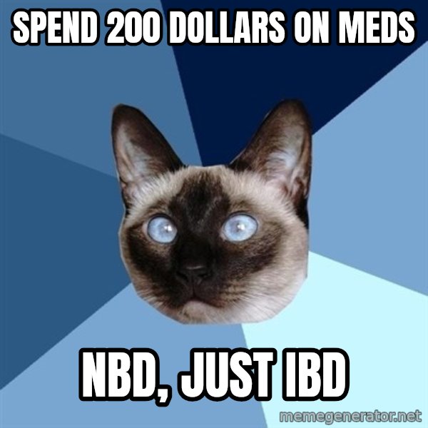 Chronic Illness Cat meme: Spend 200 dollars on meds / nbd, just ibd