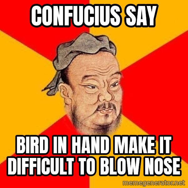 Wise Confucius meme: Confucius say / Bird in hand make it difficult to blow nose