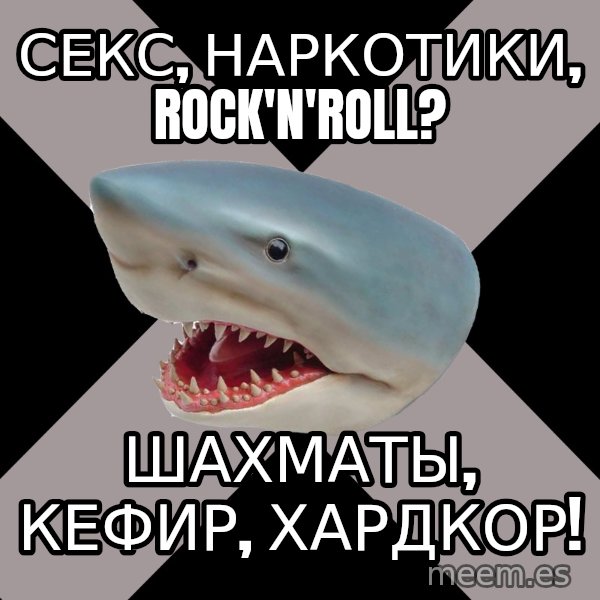 Straight Edge Shark meme: сеКС, Наркотики, rock'n'roll? / Шахматы, кефир, Хардкор!