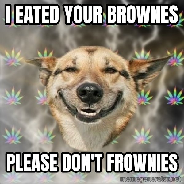Stoner Dog meme: I eated your brownes / please don't frownies
