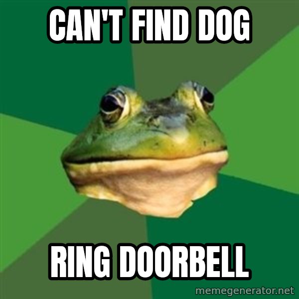 Foul Bachelor Frog meme: can't find dog / ring doorbell