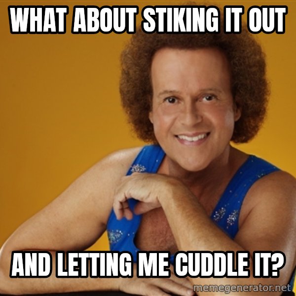 Gay Richard Simmons meme: what about stiking it out / and letting me cuddle it?