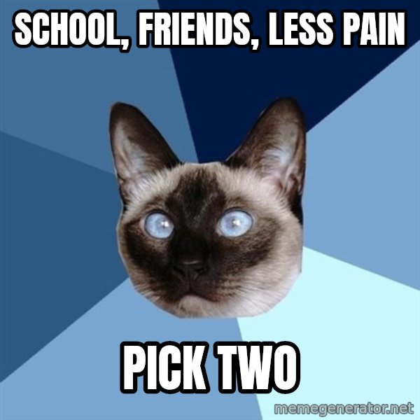 Chronic Illness Cat meme: school, friends, less pain / pick two