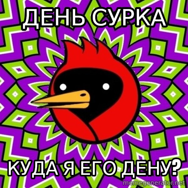 Omsk Crow meme: день сурка / куда я его дену?
