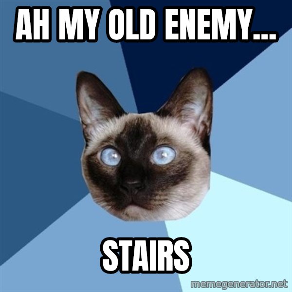 Chronic Illness Cat meme: Ah my old enemy... / STAIRS