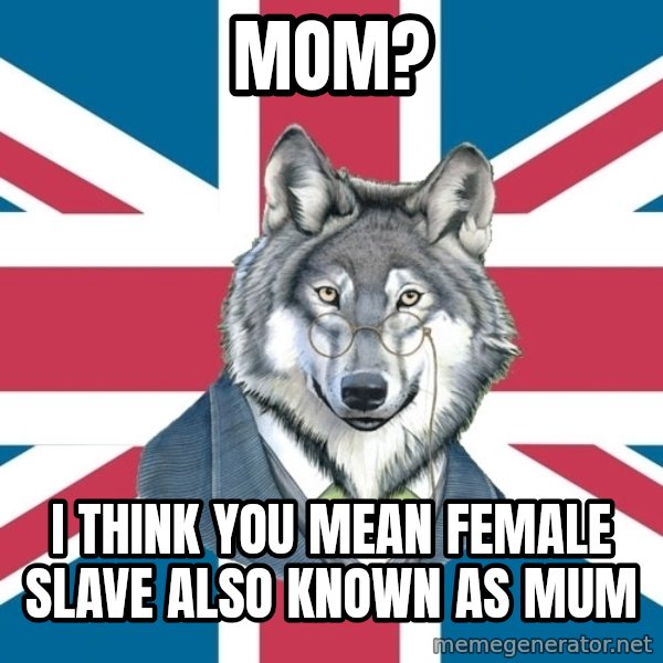 Sir Courage Wolf Esquire meme: MOM? / I think you mean female slave also known as mum