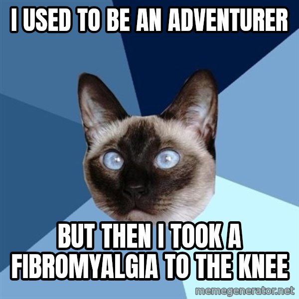 Chronic Illness Cat meme: I used to be an adventurer / but then i took a fibromyalgia to the knee