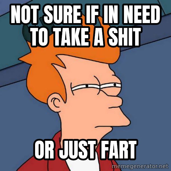 Futurama Fry meme: Not sure if in need to take a shit / Or just fart