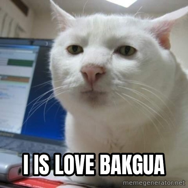 Serious Cat meme: i is love bakgua