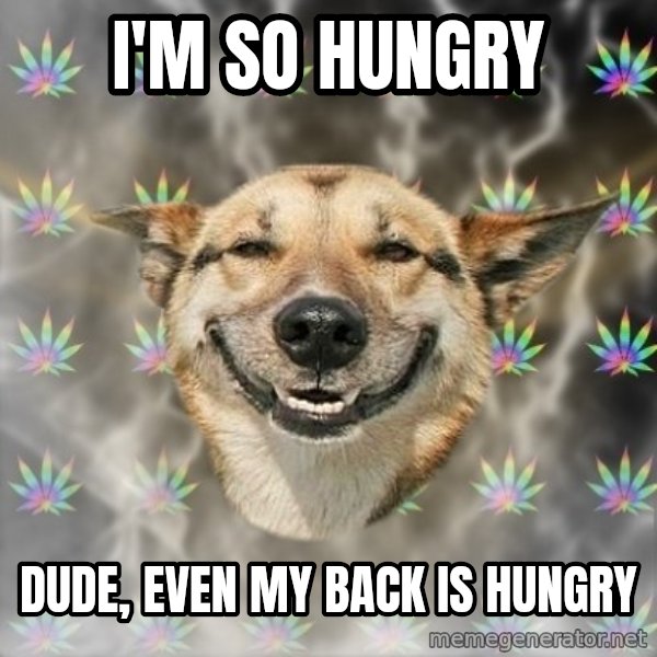 Stoner Dog meme: I'm so hungry / dude, even my back is hungry