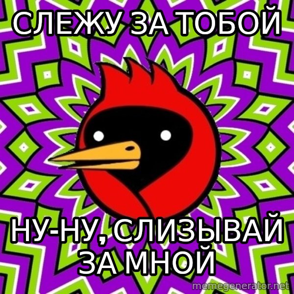 Omsk Crow meme: слежу за тобой / ну-ну, слизывай за мной