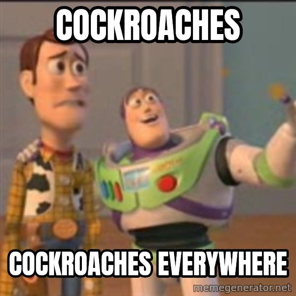 Buzz meme: Cockroaches / cockroaches everywhere
