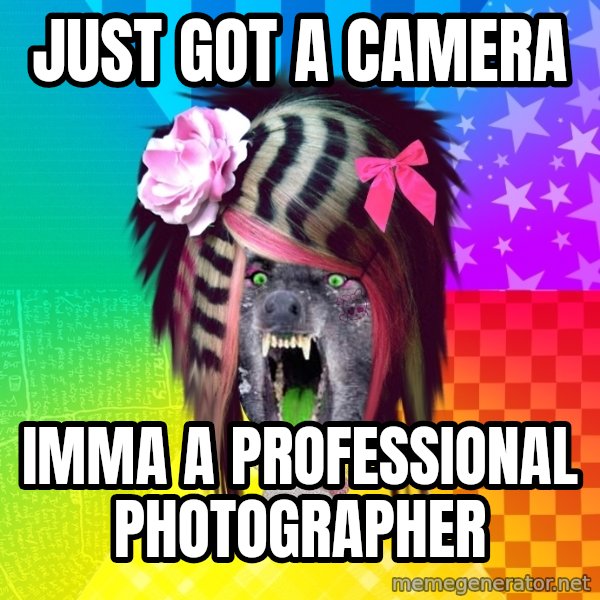 Insanity Scene Wolf meme: Just got a camera / Imma a professional photographer