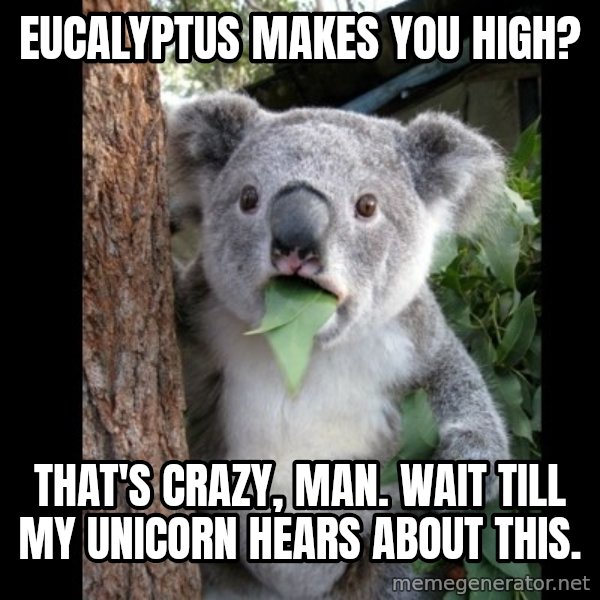 Koala can't believe it meme: Eucalyptus makes you high? / that's crazy, man. wait till my unicorn hears about this.