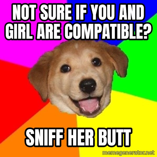 Advice Dog meme: not sure if you and girl are compatible? / sniff her butt
