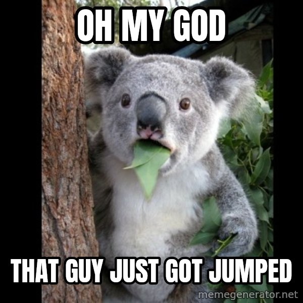 Koala can't believe it meme: Oh my god / that guy just got jumped