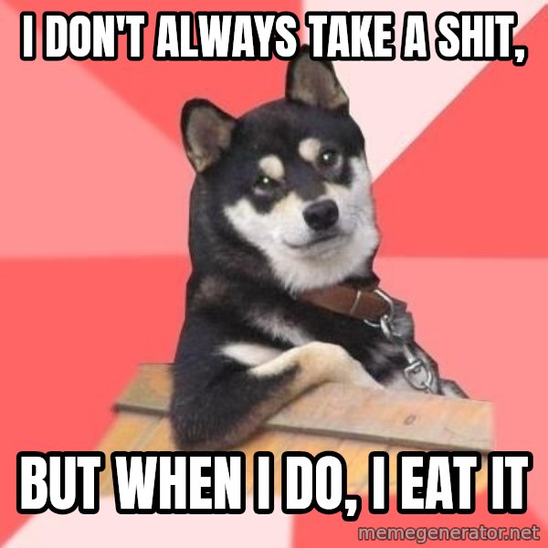 Cool Dog meme: I don't always take a shit, / but when i do, I eat it