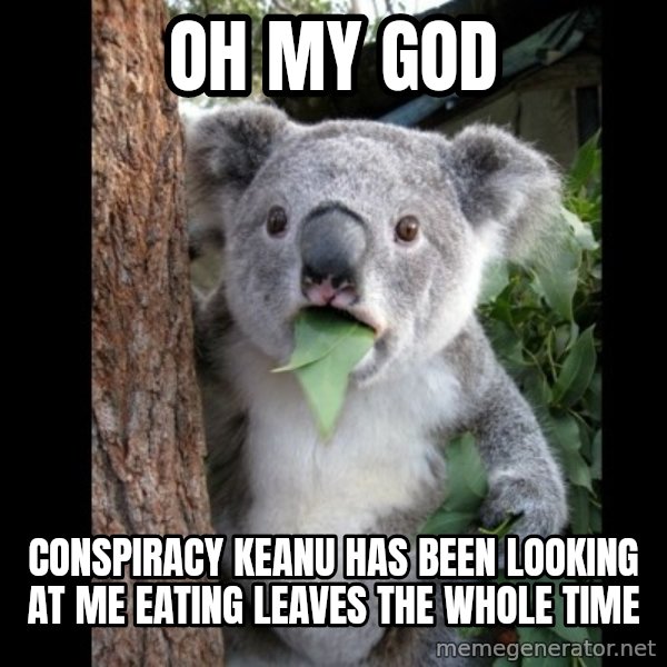 Koala can't believe it meme: oh my god / conspiracy keanu has been looking at me eating leaves the whole time
